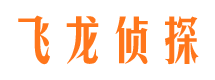 狮子山飞龙私家侦探公司